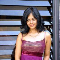 Bindu Madhavi Hot in Pink Gown Dress - Pictures | Picture 120958